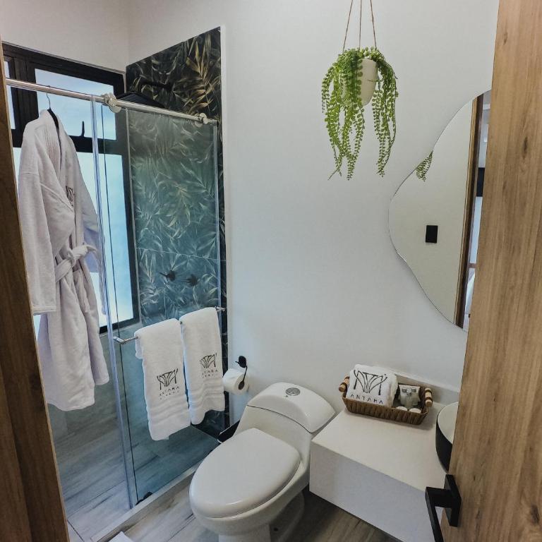 Antara Resort - Suite Junior - 6