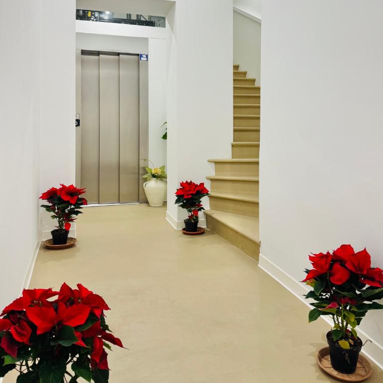 Pescara centro Silenzioso e confortevole con terrazzo bioclimatico a 2 minuti dal mare - Superior Apartment - 16