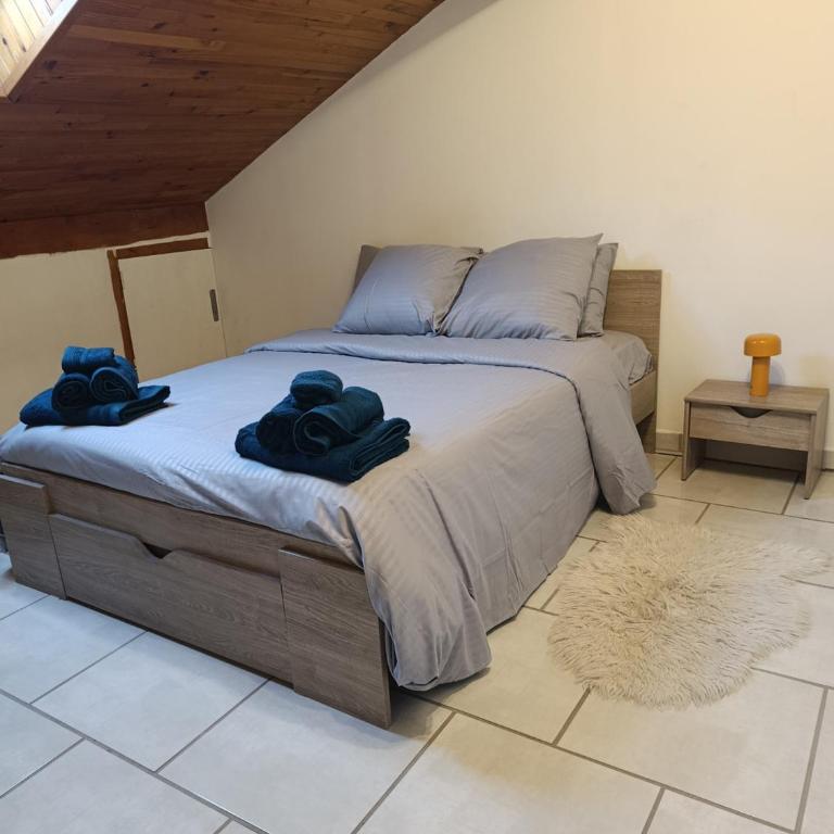 Charming Two-Room Apartment - Large Living Room & Kitchen - Appartement 1 Chambre - 1