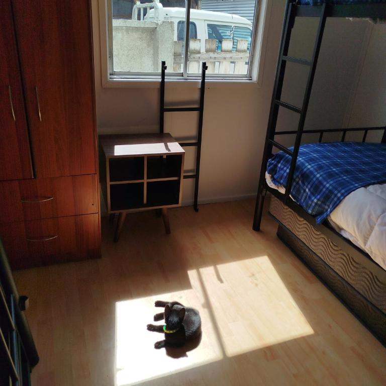 Hostal Yei, Punta Arenas - Habitación Doble con baño compartido - 1