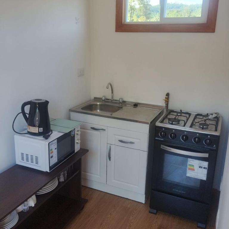 Nativo curiñanco - Two-Bedroom Apartment - 9