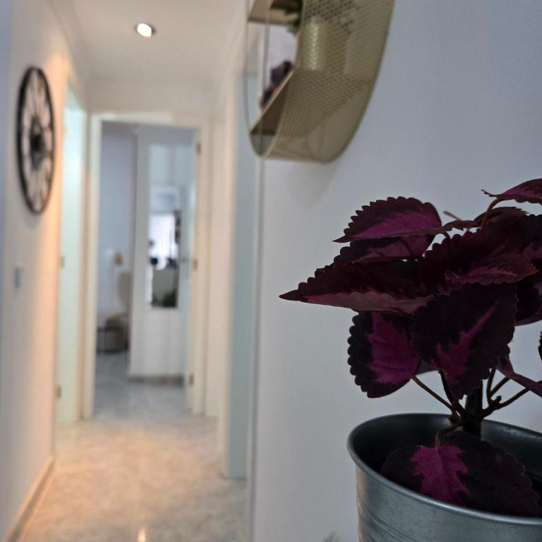 Discover the oasis of relaxation at Casa Fabio - Casa de 2 dormitorios - 9