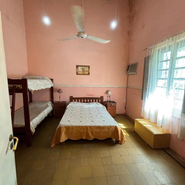 Pochito - One-Bedroom Apartment - 5