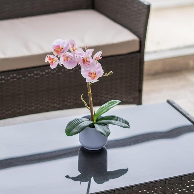 Cartagena Beach Resort - Apartamento de 1 dormitorio con vistas a la piscina - 25