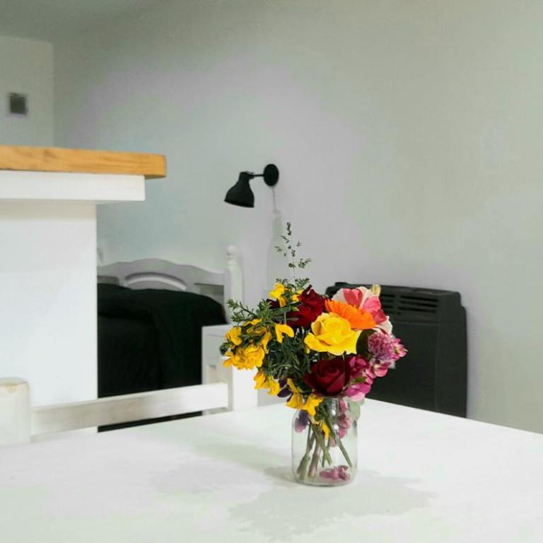 Disfruta Mucho !!! - Apartamento de 1 dormitorio - 1