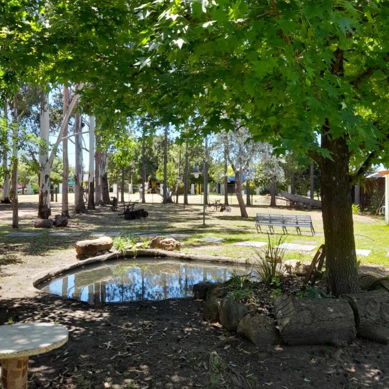 Los Troncos cabañas - Apartamento de 1 dormitorio - 5