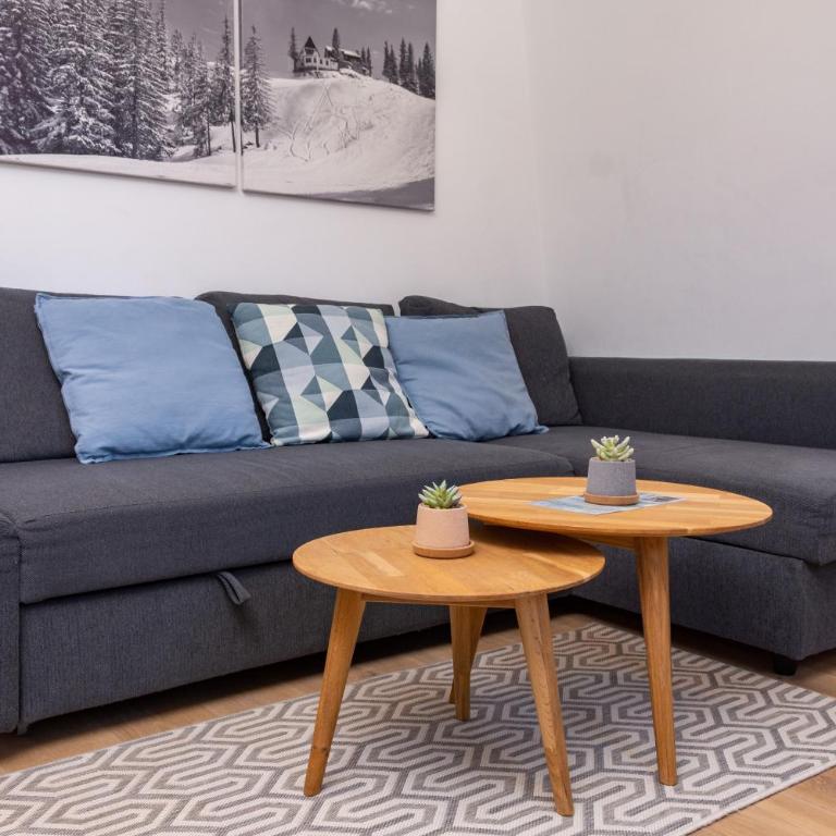 Jahorina apartmani Dvosjed - One-Bedroom Apartment - 17