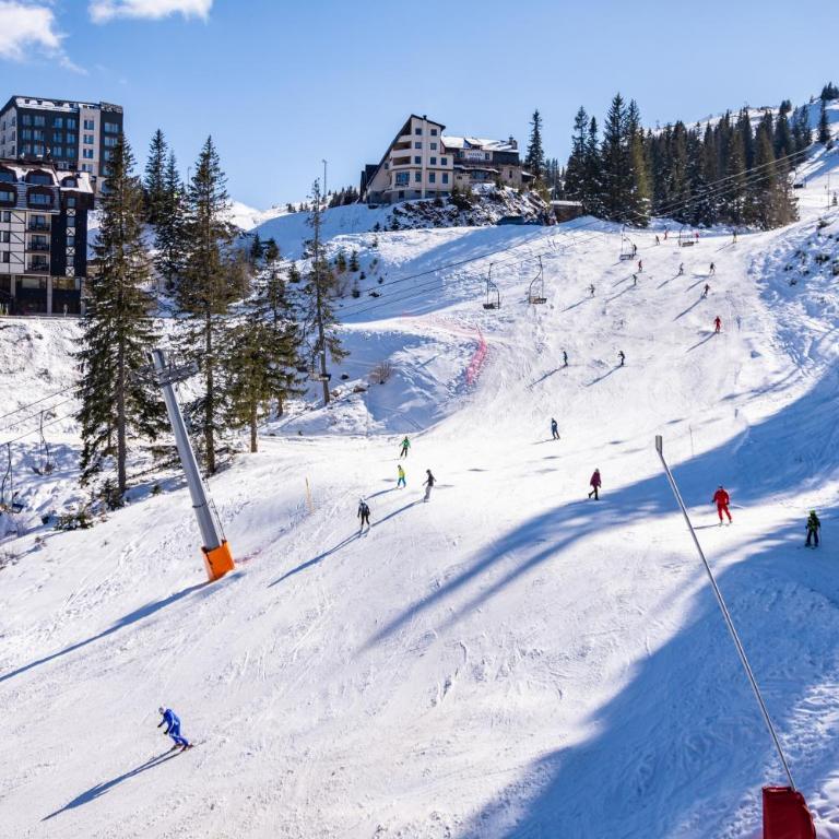Jahorina apartmani Dvosjed - One-Bedroom Apartment - 5