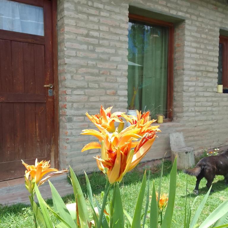 El Espinillo2 - One-Bedroom House - 1