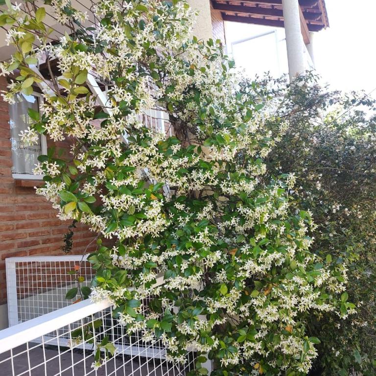 Lo de Vlady - Apartamento de 1 dormitorio - 5