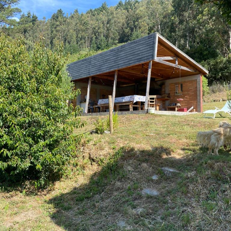 Casa río - Three-Bedroom House - 20