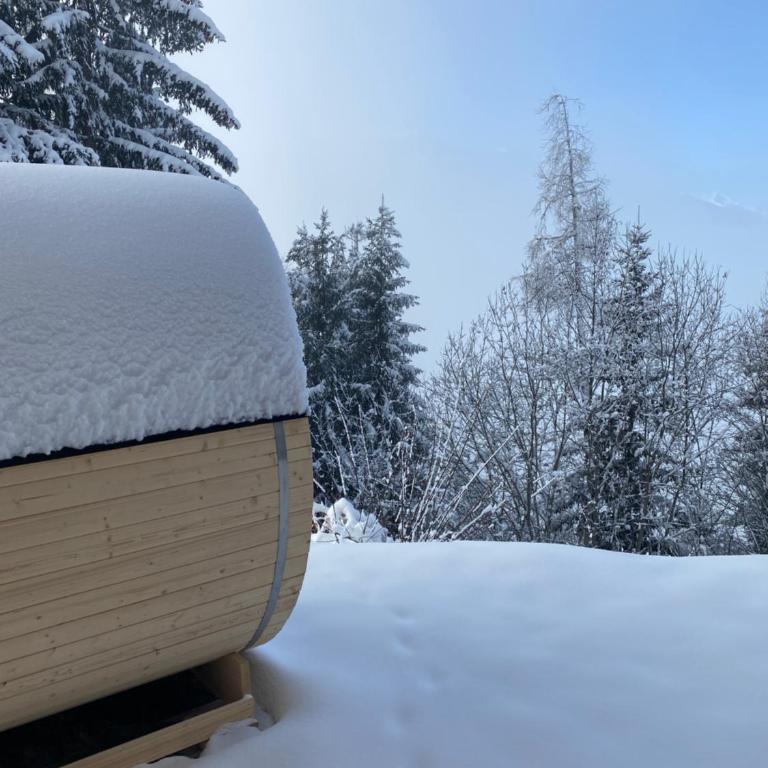 Zillertal Ferienhaus Rohrberg Panoramablick mit Garten und Sauna - Apartment mit 3 Schlafzimmern und Bergblick - 69