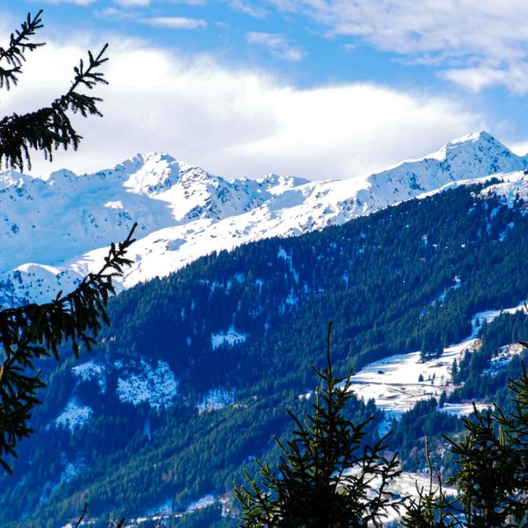 Zillertal Ferienhaus Rohrberg Panoramablick mit Garten und Sauna - Apartment mit 3 Schlafzimmern und Bergblick - 83