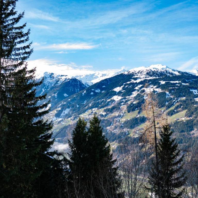 Zillertal Ferienhaus Rohrberg Panoramablick mit Garten und Sauna - Apartment mit 3 Schlafzimmern und Bergblick - 72