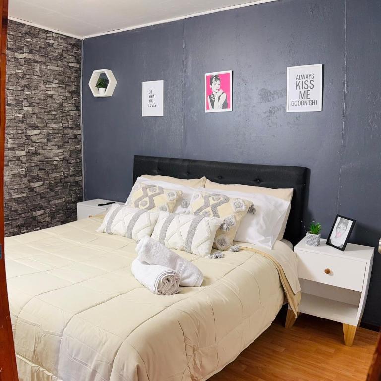 Minidepto temuco - One-Bedroom Apartment - 24