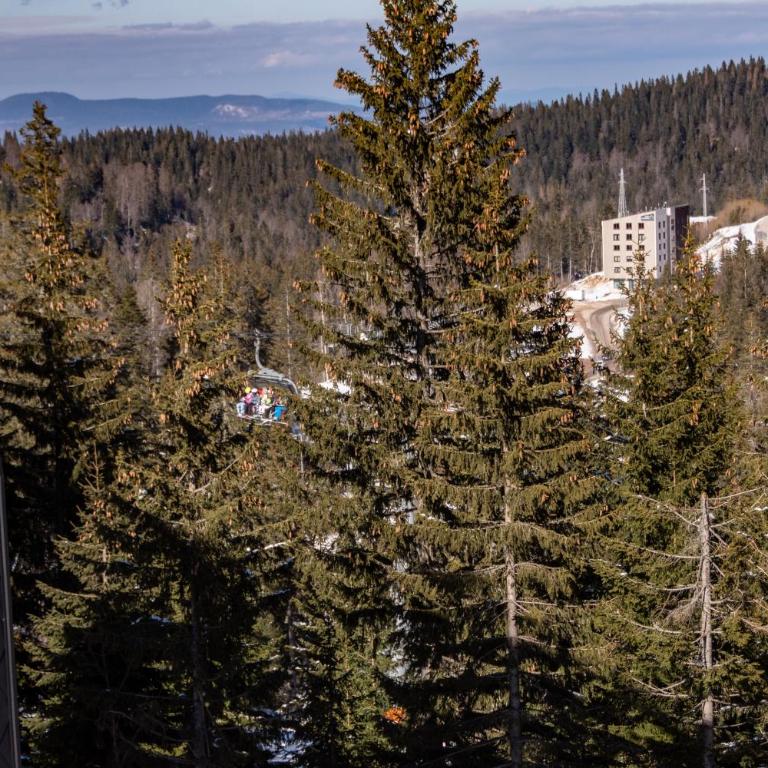 Jahorina apartmani Dvosjed - One-Bedroom Apartment - 21