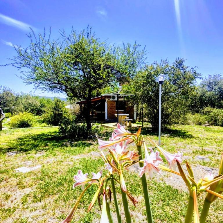 Rincón Soñado - Apartamento de 2 dormitorios - 5