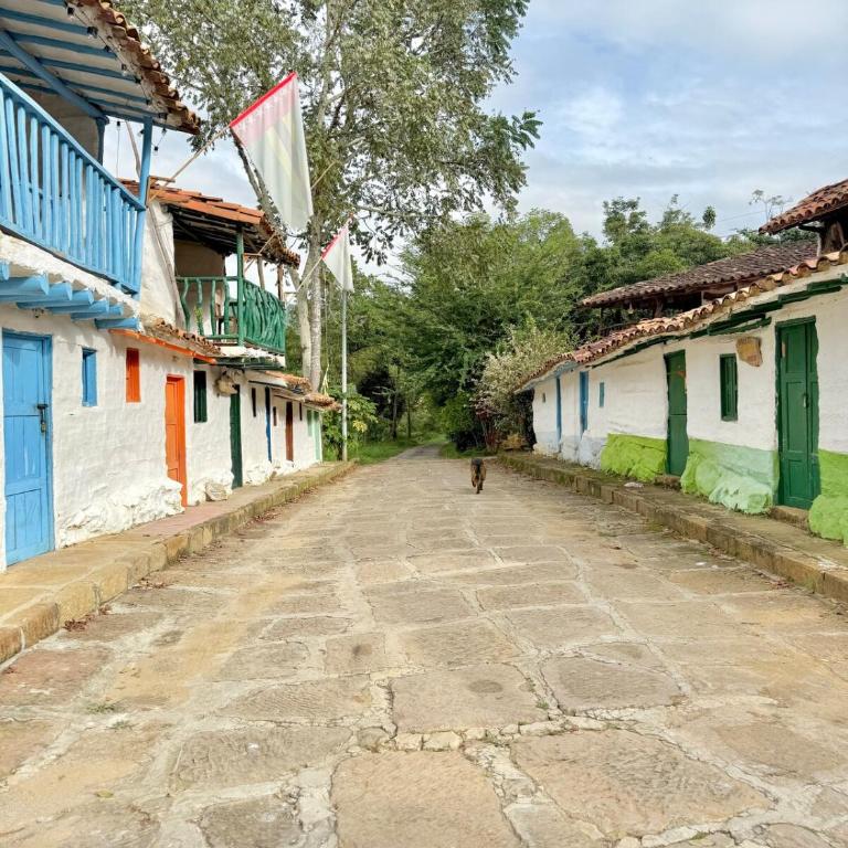 Cabaña frente al Río-Curití-San Gil - Casa con 1 dormitorio - 19