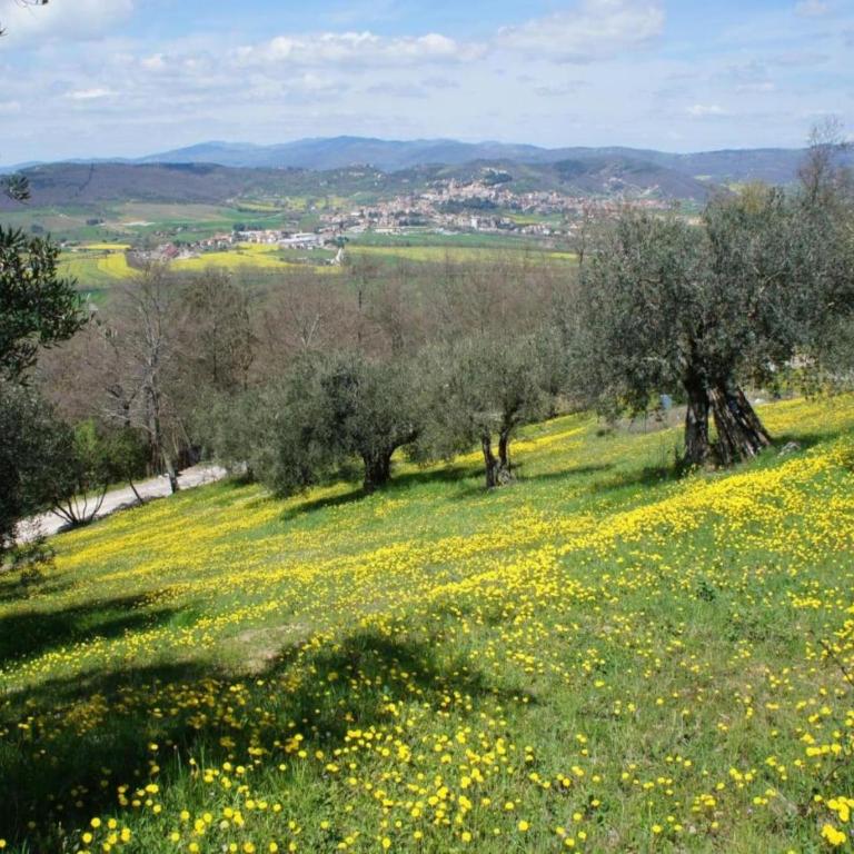 House in Umbria with Pool & Garden Views - Appartamento con 1 Camera da Letto - 40