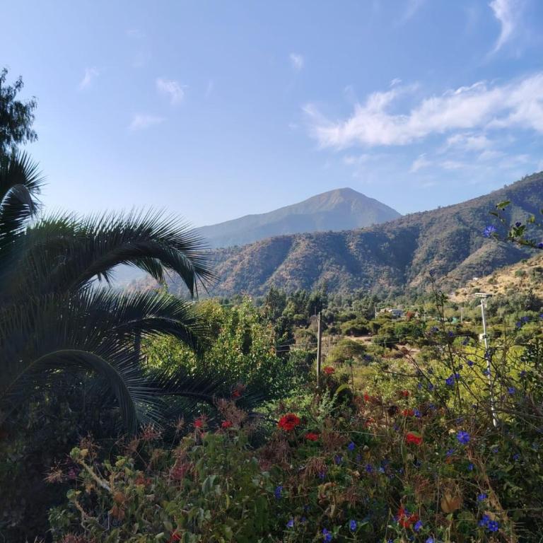 Casa en Olmué Quebrada Alvarado V region - Casa de 3 dormitorios - 8