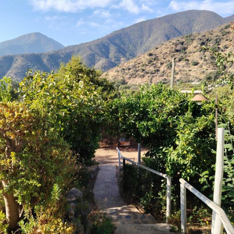 Casa en Olmué Quebrada Alvarado V region - Casa de 3 dormitorios - 23