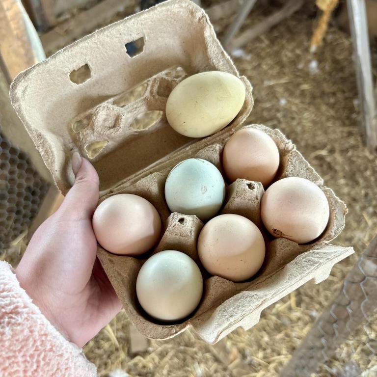 Hostal y Domos Bello Horizonte - Casa de 3 dormitorios - 15