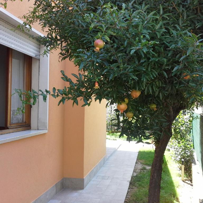Villa Al Sole - Casa con 3 Camere da Letto - 61