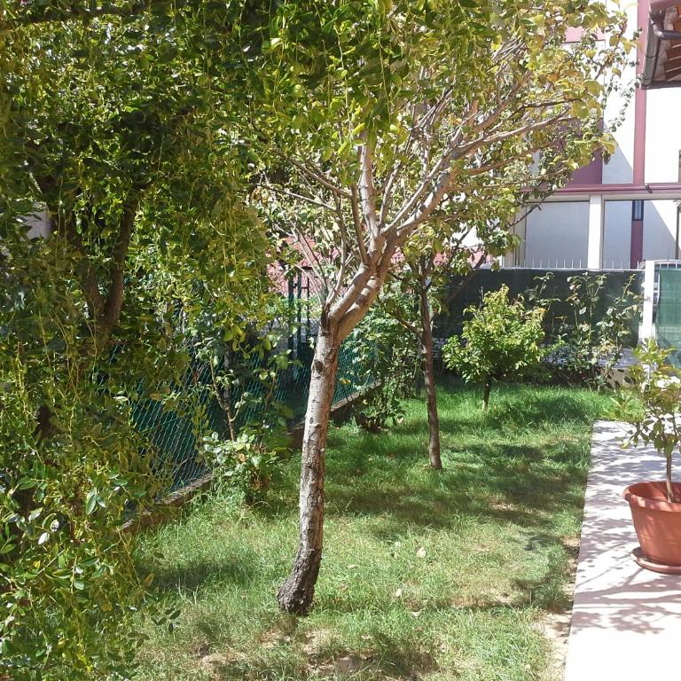 Villa Al Sole - Casa con 3 Camere da Letto - 83