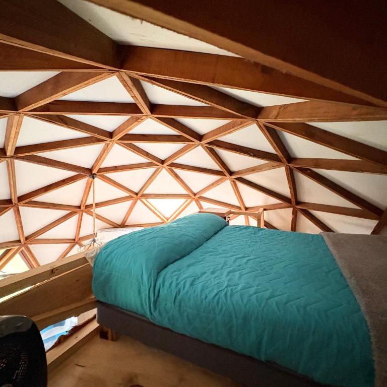 Hostal y Domos Bello Horizonte - Cabaña con vistas al jardín - 22