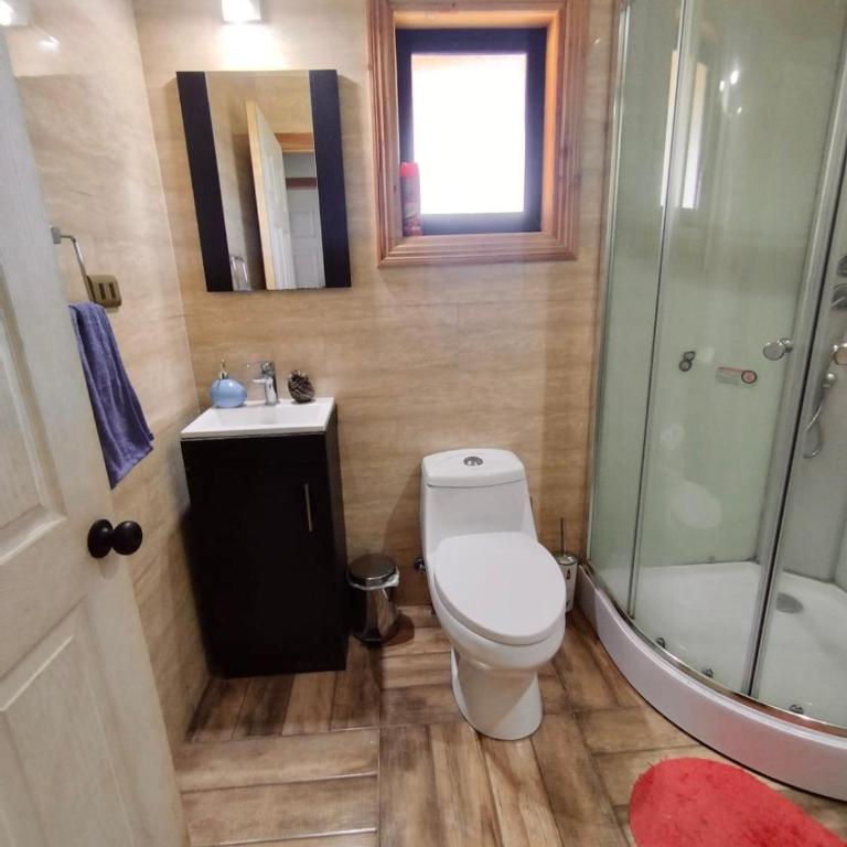 Hostal y Domos Bello Horizonte - Casa de 3 dormitorios - 20