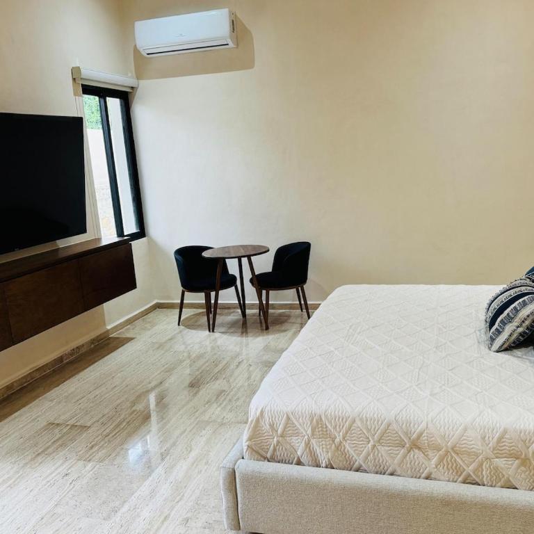 Casa Injertada a espaldas de Paseo de Montejo - One-Bedroom House - 20