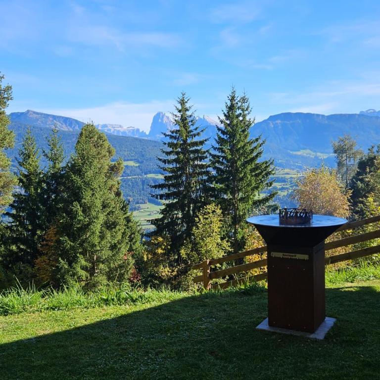 Alone in Chalet with view on Dolomites - Apartment mit 2 Schlafzimmern - 12