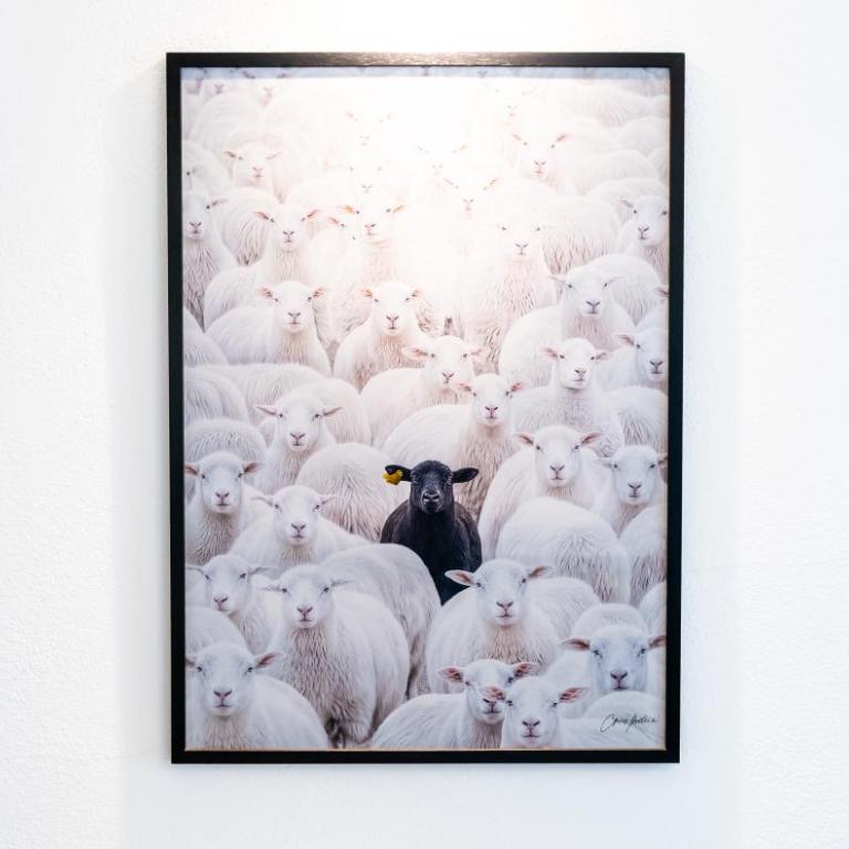 The Black Sheep, Airco - No Lift - One-Bedroom Apartment - 2
