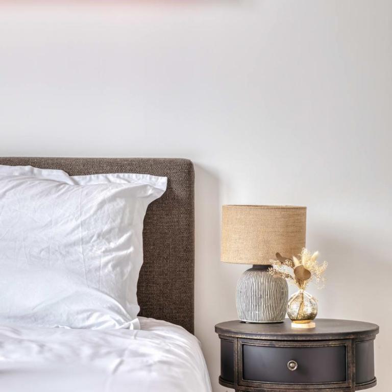 Le Lauroise magnifique F2 place des Carmes - Apartment - 18