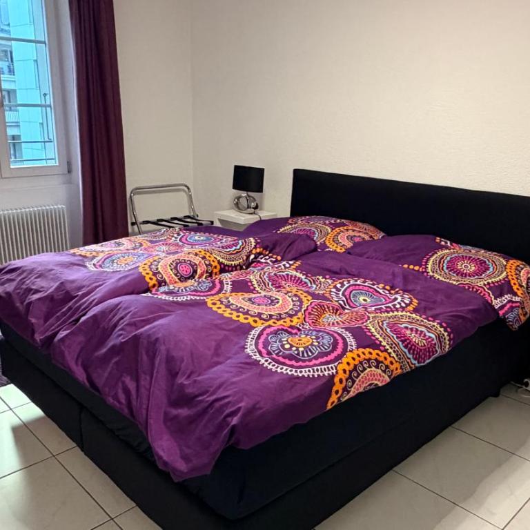 Swiss Interlaken Apartment - Apartment - 5