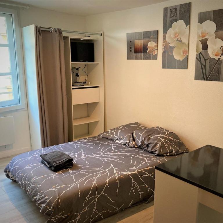 Studio dans l'hypercentre de Limoges - Appartement 1 Chambre - 1