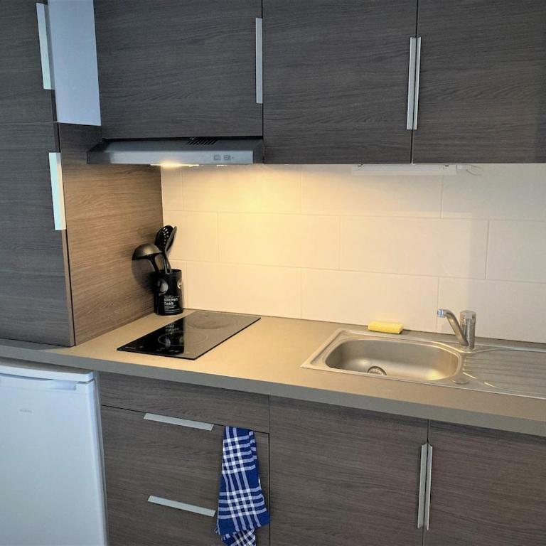 Studio dans l'hypercentre de Limoges - Appartement 1 Chambre - 2