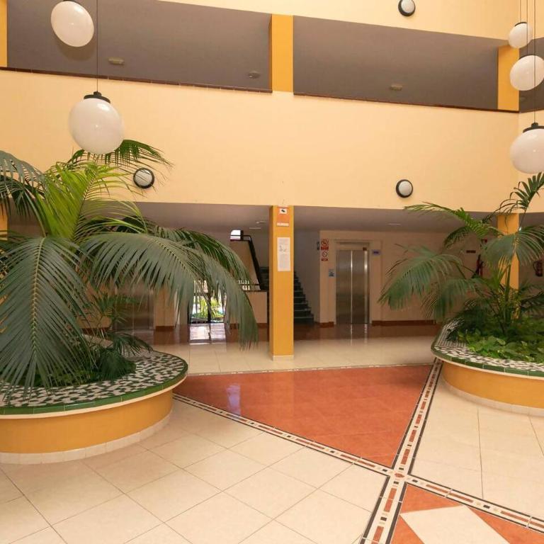 Céntrico apartamento primera linea del mar - Apartamento de 1 dormitorio - 60