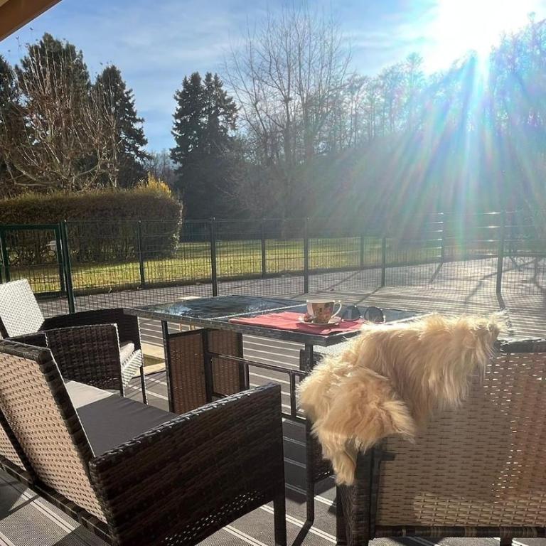 Luxus Terrassenappartement Berg & See 2 - Appartamento con 2 Camere da Letto e Vista Giardino - 22