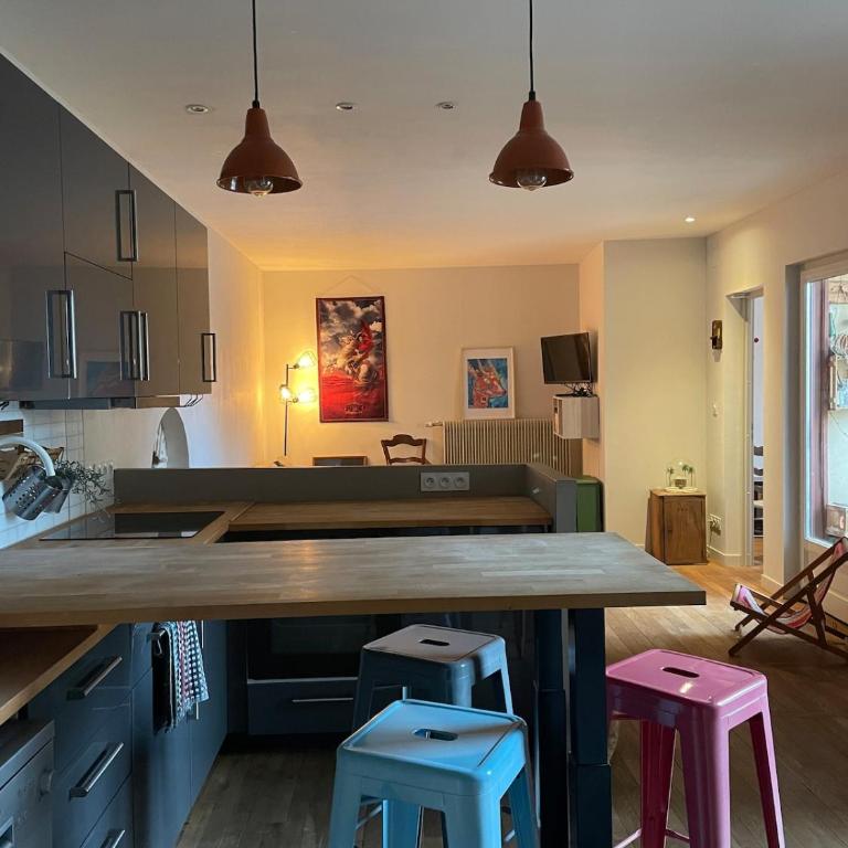 Appartement bucolique - Cœur historique Dijon - Appartamento con 1 Camera da Letto - 1
