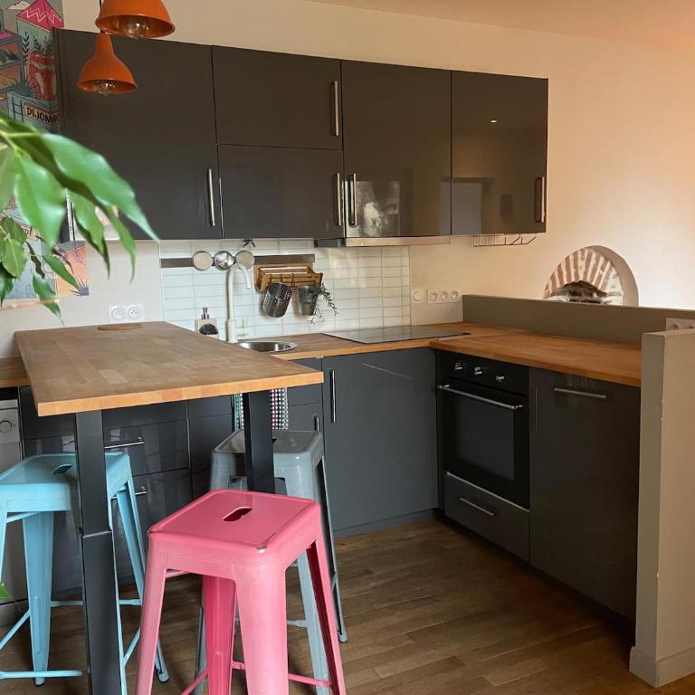 Appartement bucolique - Cœur historique Dijon - Appartamento con 1 Camera da Letto - 6