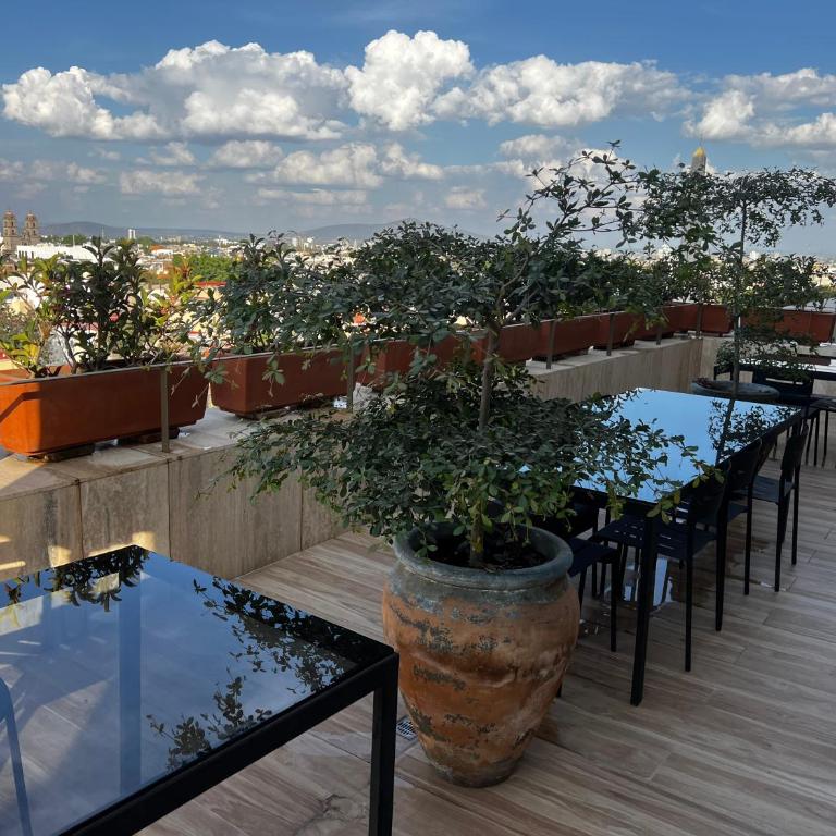 Floor 17 City views Americana & Chapultepec - Apartamento de 1 dormitorio - 35