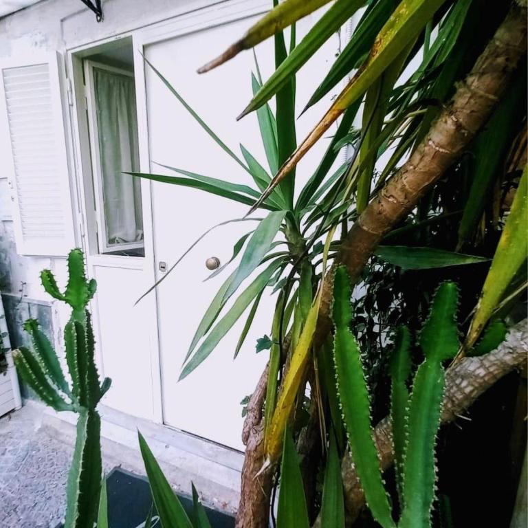 Marinella House Napoli centro Piazza Dante - Monolocale Superior - 86