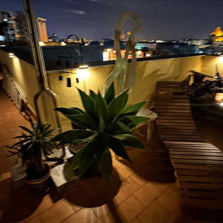 Terrace in the Sky overlooking Historic Center - Two-Bedroom Apartment - 30