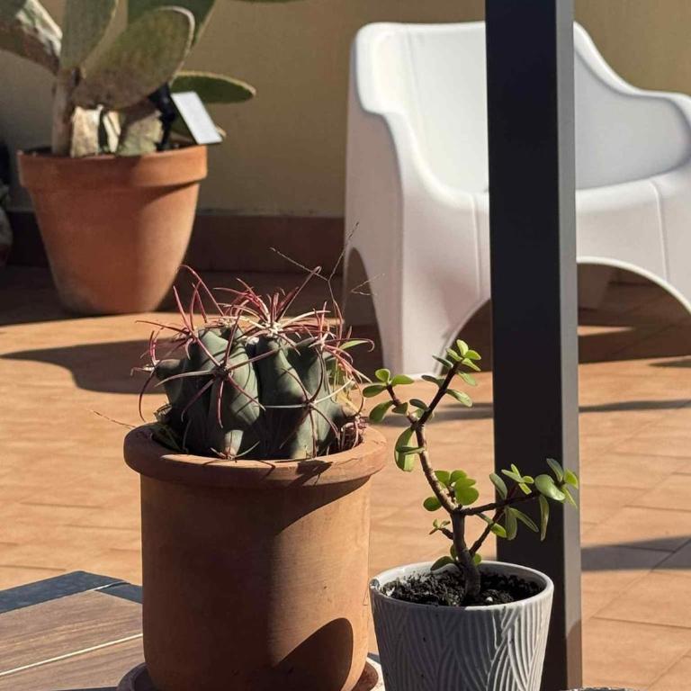 Terrace in the Sky overlooking Historic Center - Two-Bedroom Apartment - 32