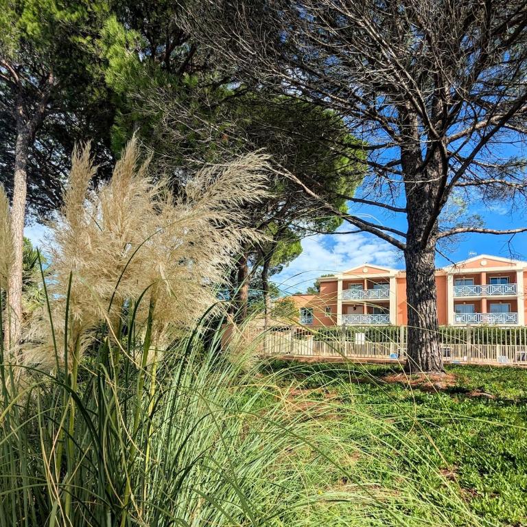 T1 bis rénové, clim et confort - Saint Raphaël - One-Bedroom Apartment - 12