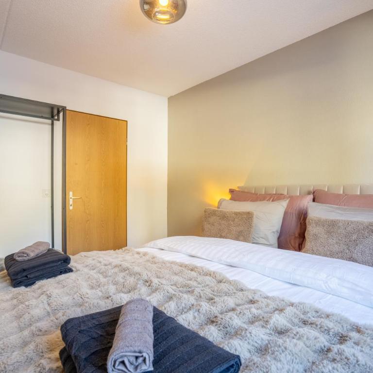 A&Y Alpenchique Apartment Davos - Apartment mit 3 Schlafzimmern und Bergblick - 14