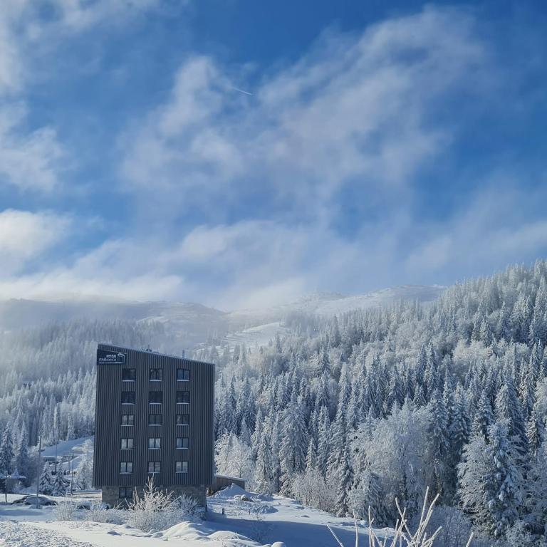 Monte Nuovo Apartments - One-Bedroom Apartment - 18
