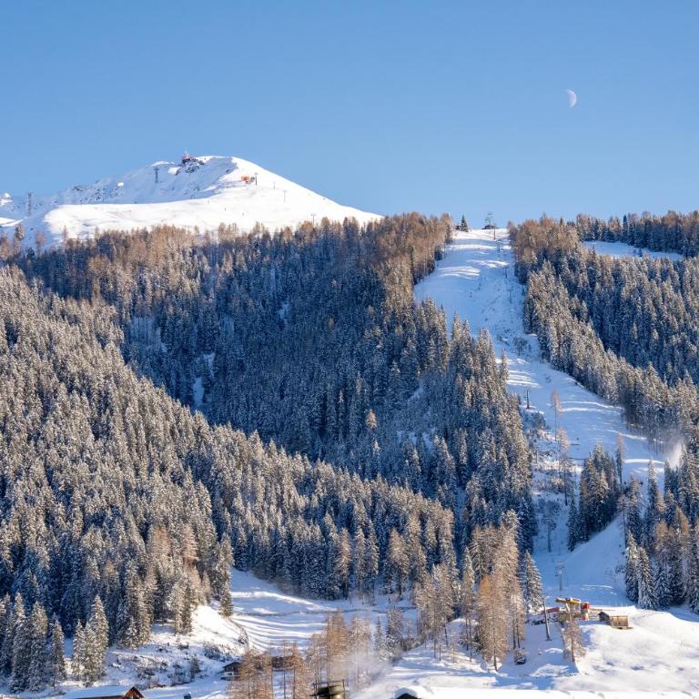 A&Y Alpenchique Apartment Davos - Apartment mit 3 Schlafzimmern und Bergblick - 42