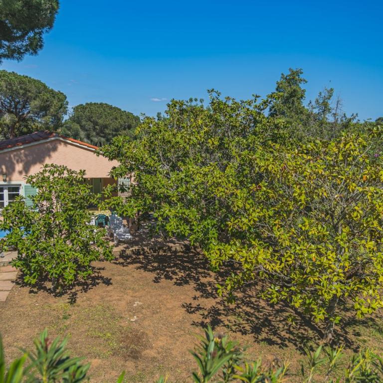 Villa Capo Perla - Goelba - Casa con 4 camere da letto - 2
